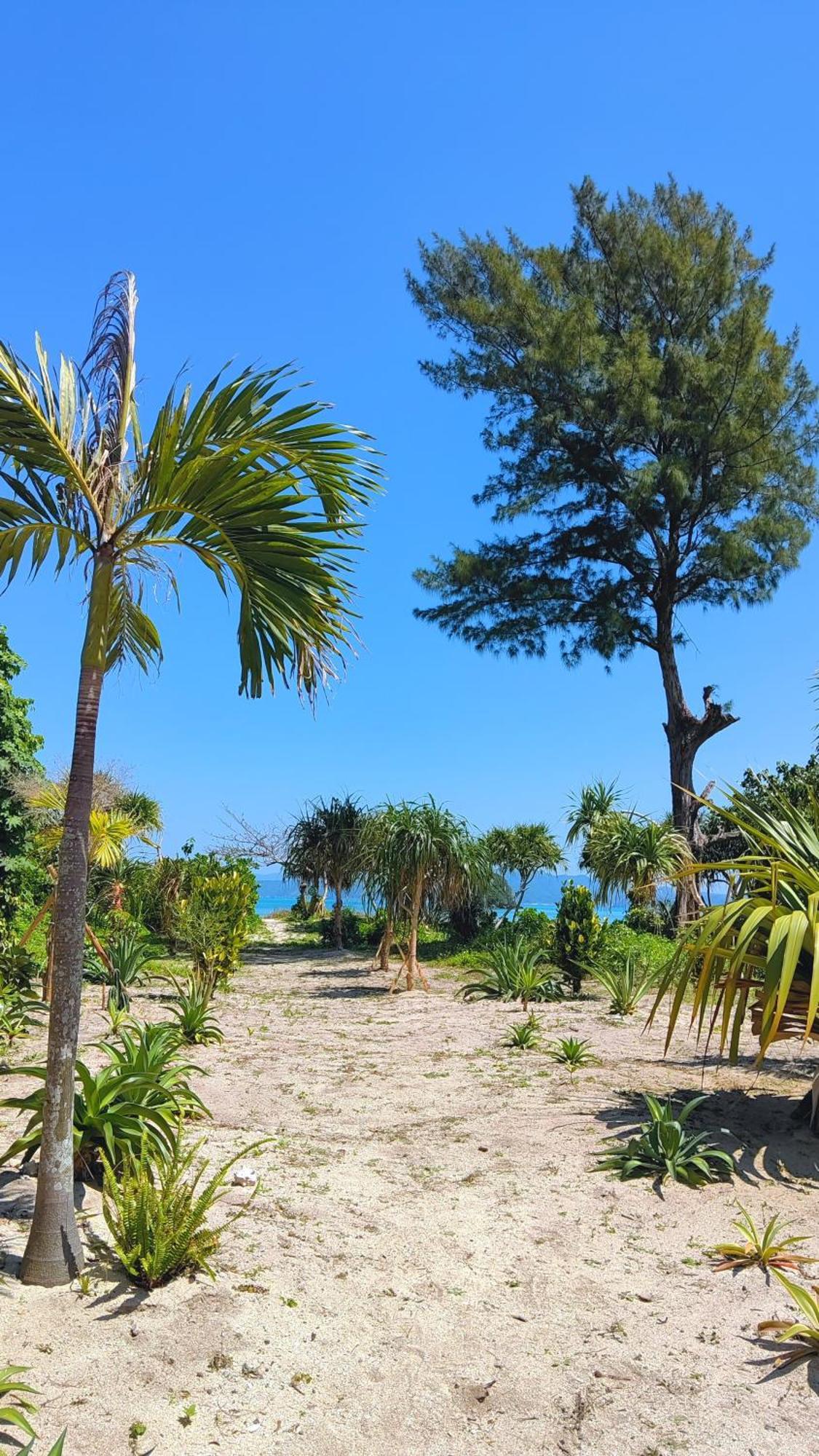 Staey Hotel Nago Dış mekan fotoğraf